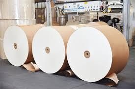 Coated Paper vs Laminated Paper